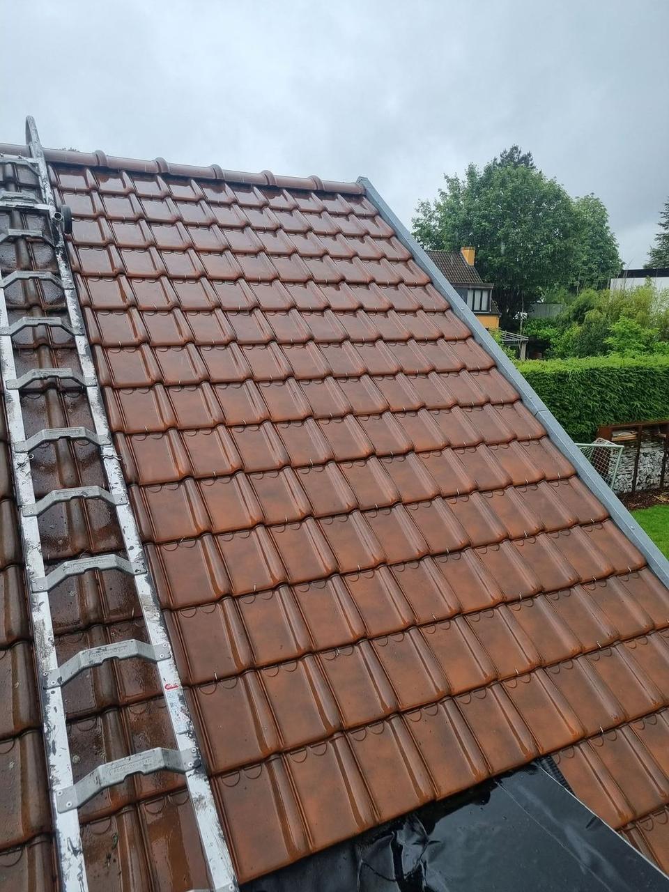 Gereinigde pannen met dakladder