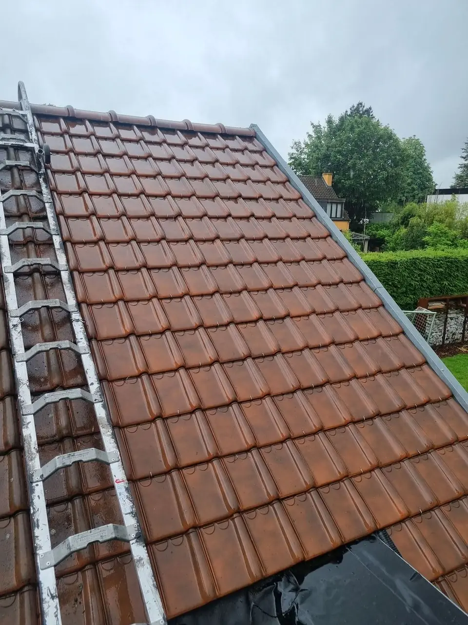 Gereinigde pannen met dakladder