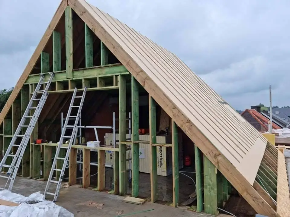 Puntgevel in houtskelet en het dak met houtvezelplaten